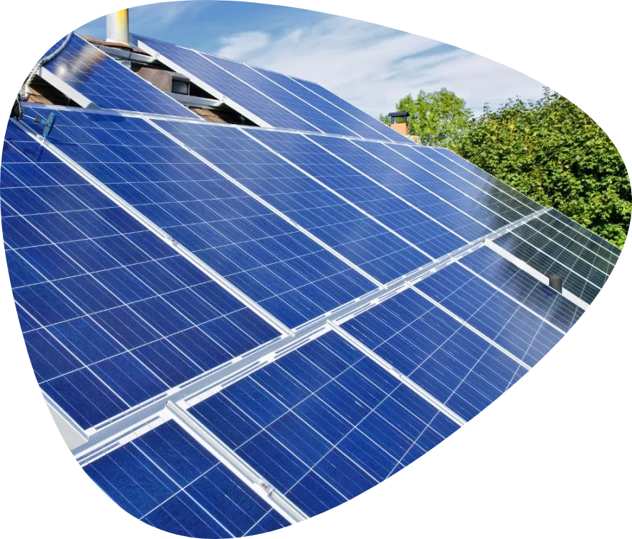 Solar Panels & Inverters Image